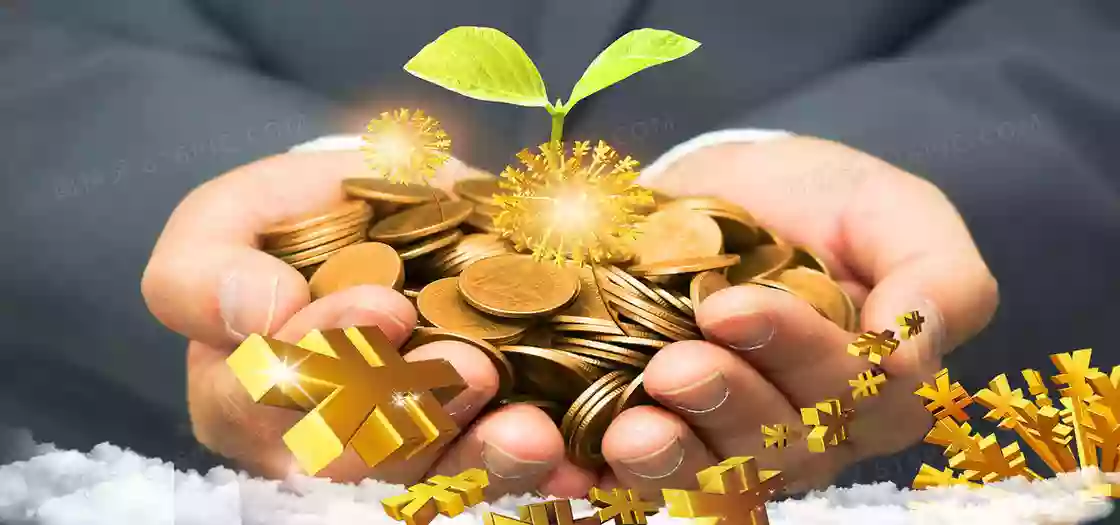 穿越牛熊的“金融诺亚方舟”：永久投资组合全解析